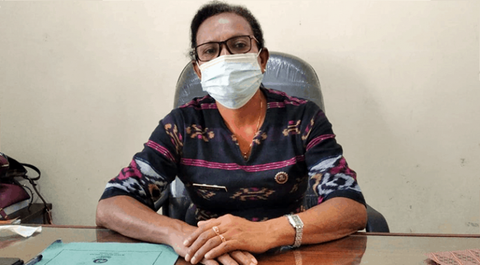 Cegah Penyelundupan Hewan, Dinas Peternakan Segera Bikin Posko Terpadu Kepala Dinas Petenakan Nagekeo, Ir. Klementina Dawo