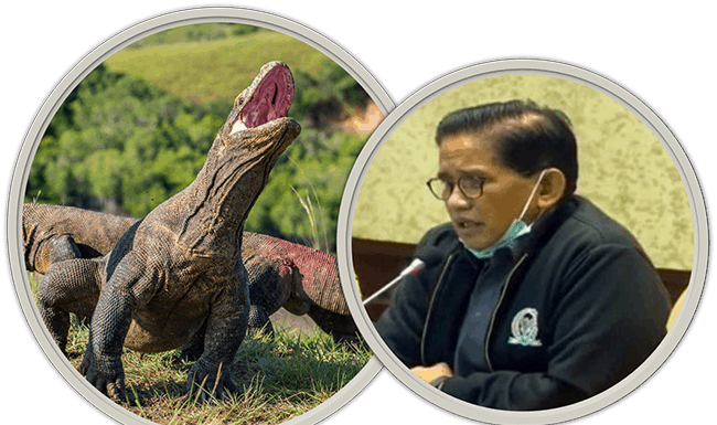 “NTT Istimewanya Komodo Saja”, Bakri: Saya Minta Maaf A Bakri HM, meminta maaf setelah pernyataannya yang berbunyi ‘NTT istimewahnya Komodo Saja’ viral di media sosial.