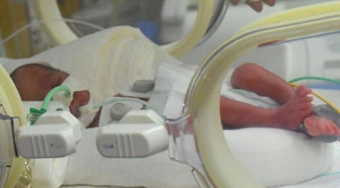 Kuasa Tuhan, Seorang Ibu Melahirkan 9 Anak Kembar Bayi kembar 9