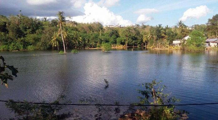 Berkah Badai Seroja di Kota Kupang Danau Tangkolo, Sikumana, Kota Kupang.