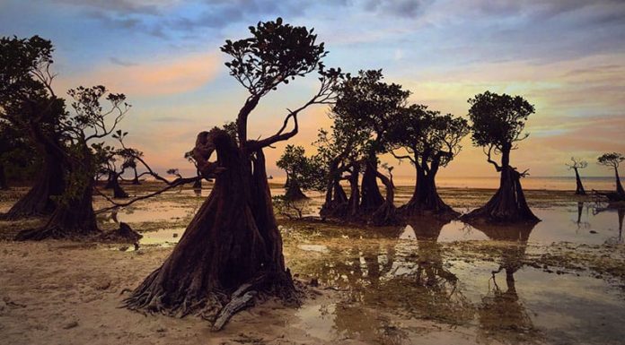 Storynomics Tourism, Relasi Narasi dan Exotica NTT NTT adalah negeri dengan sejuta ceritera, NTT hanya akan menjadi sebuah ceritera mati jika keindahan ini hanya diketahui oleh Pewaris NTT sendiri. NTT adalah sebuah berkat bagi Dunia, NTT adalah sebuah lumbung peradaban dunia, yang tidak boleh terlelap dalam keabadian.