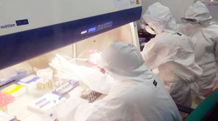 Dinkes Beberkan Pelanggaran Lab Biokesmas NTT segala akibat yang timbul dari tindakan ketidakpatuhan terhadap teguran tersebut bukan menjadi tanggung jawab Dinkes Kota Kupang.
