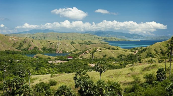 Ata Modo “dikurung” di Atas Tanahnya Sendiri Kawasan Taman Nasional Komodo