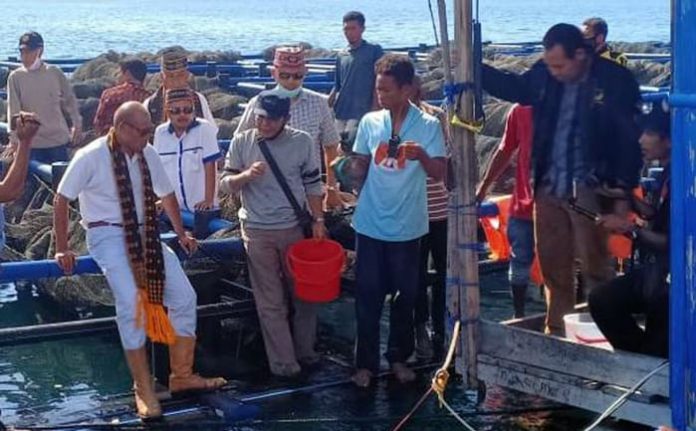 Gubernur NTT, Viktor Laiskodat saat meninjau keramba ikan kerapu di Wae Kelambu, Kamis (25/6/2020).