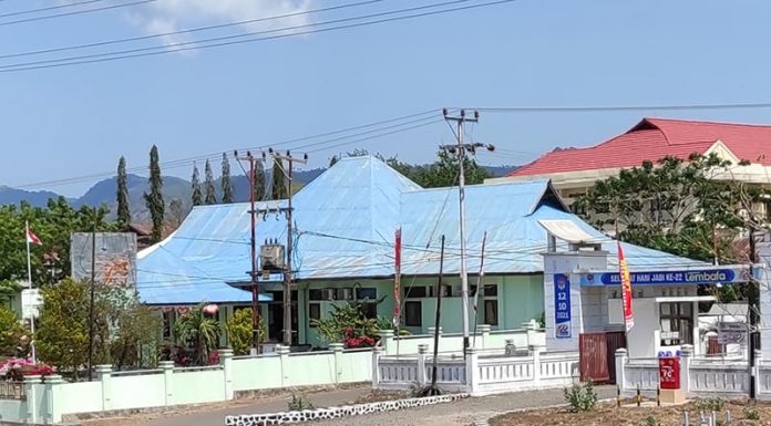 Nakes Ungkap Dugaan KKN di Dinas Kesehatan Lembata Dinas Kesehatan Kabupaten Lembata