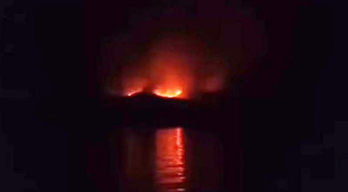 10 Hektar Hutan di Pulau Rinca Terbakar, Komodo Aman! Beberapa wilayah Pulau Rinca terbakar pada Selasa (2/11) kemarin. Petugas internal BTNK mendapat informasi kebakaran terjadi pada Selasa (2/11) pukul 15.00 Wita.