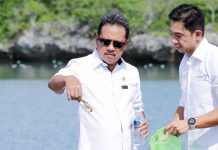 Menteri KP Ingin SKPT Rote Ndao Dibuat Jadi Tempat Wisata Kuliner Ikan Menteri Kelautan dan Perikanan, Sakti Wahyu Trenggono, saat mengunjungi Sentra Kelautan Perikanan Terpadu (SKPT) Kabupaten Rote Ndao.