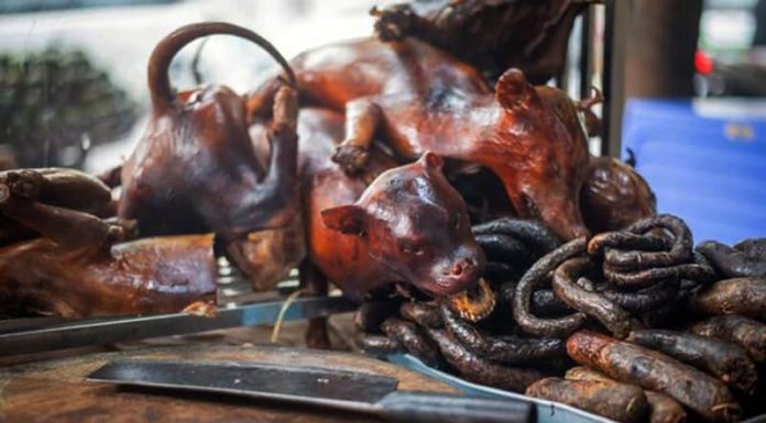 Kementan dan Ganjar Pranowo Ajak Masyarakat Stop Makan Daging Anjing Daging anjing disebut bukan pangan dan saat ini perlindungan terhadap anjing sudah menjadi isu internasional.
