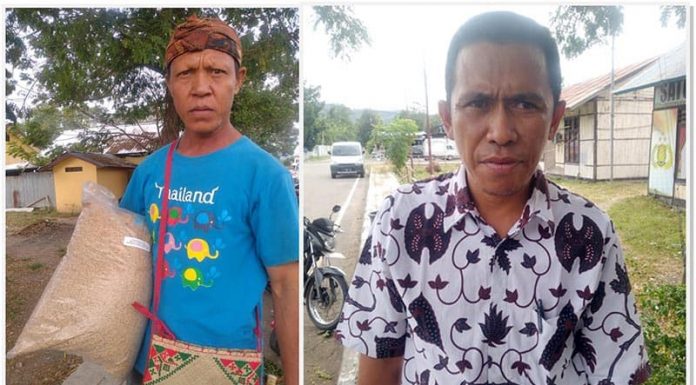 Kelompok Tani Diberi Benih Padi Oplosan, Kontraktor Diminta Bertanggungjawab Romualdus Dera dan Ahmad Efendi Pua Upa