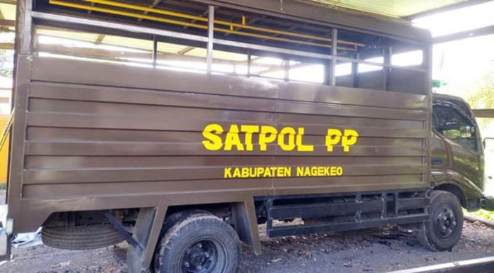 Satpol PP Diberi Mobil Bekas, Rekanan Dilaporkan Ke Polisi Dalmas Satpol PP Nagekeo