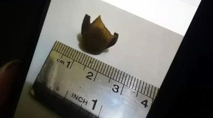 Pusdokes Polri Temukan Profil DNA Jari di Sayur Lodeh Atambua Potongan Jari Manusia yang ditemukan di dalam sayur lodeh di salah satu warung makan di Atambua, Belu, NTT.