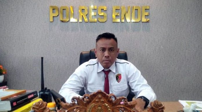 Dituduh Selingkuh Dengan Sapi, Wanita 35 Tahun Tewas Dianiaya Calon Suami Kasat Reskrim Polres Ende, Iptu. Yance Y. Kadiaman, SH
