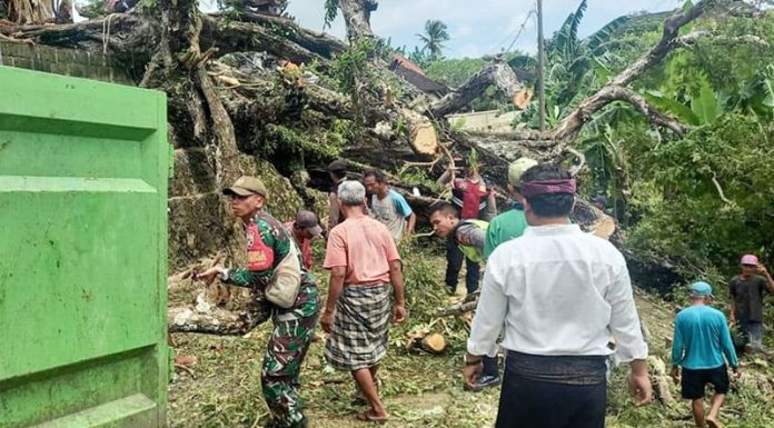 Pohon Asam Tumbang, Pura Rusak
