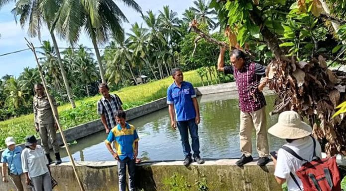 Bupati Nagekeo Tinjau Kelompok Budidaya Ikan di Mauponggo