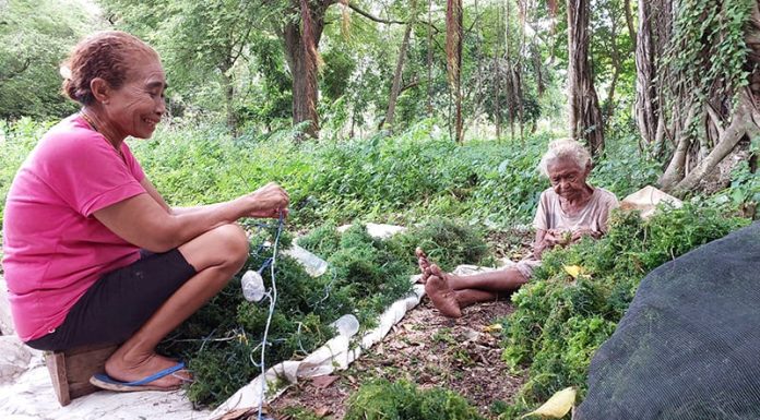 Warga Ingatkan VBL: Jangan Mentang-Mentang Mantan Preman Lalu Bikin Kebijakan Sesuka Hati Petani Rumput Laut di Desa Baobolak
