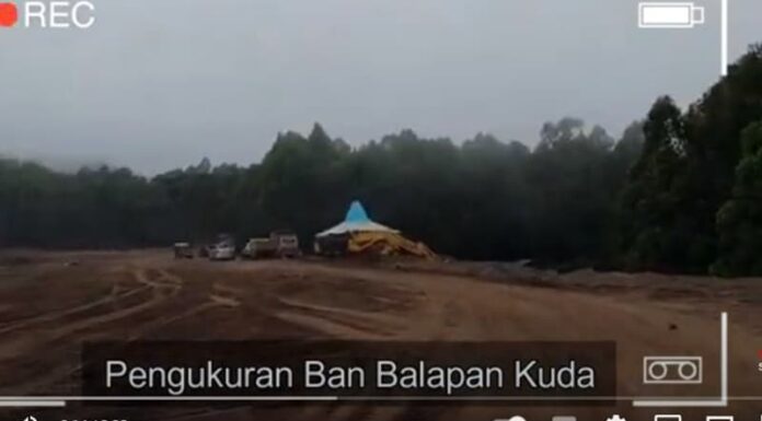 KPK Diminta Ambil Alih Kasus Gelanggang Pacuan Kuda Ngada GOR Pacuan Kuda Ngada