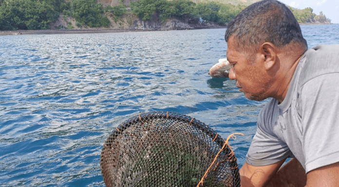Nelayan Tanjung Ngaku Tak Pernah Dapat Bantuan Nelayan Tanjung sedang mencari ikan