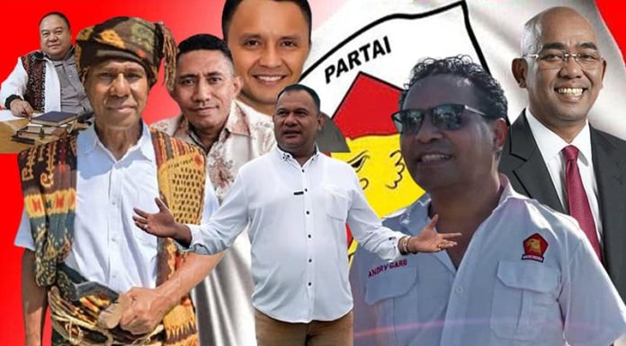 Inilah Bacagub dan Bacawagub NTT Yang Memenuhi Syarat Survey Partai Gerindra Bakal Calon Gubernur NTT yang bakal disurvey Partai Gerindra