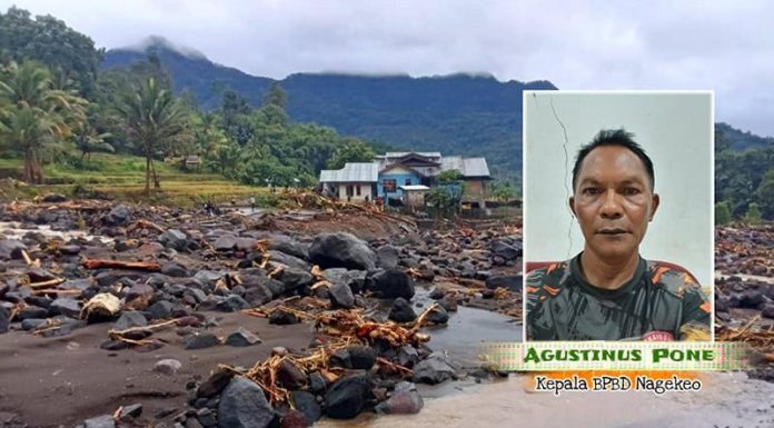 Data BPBD Nagekeo Terkini: 3 Meninggal, 4 Hilang, 3 Luka-Luka, Berikut Nama-Namanya!