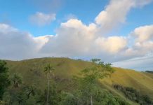 TPA Bukit Rodja Ditolak: Sejengkal Tanah Tidak Akan Kami Izinkan! Bukit Rodja Ende