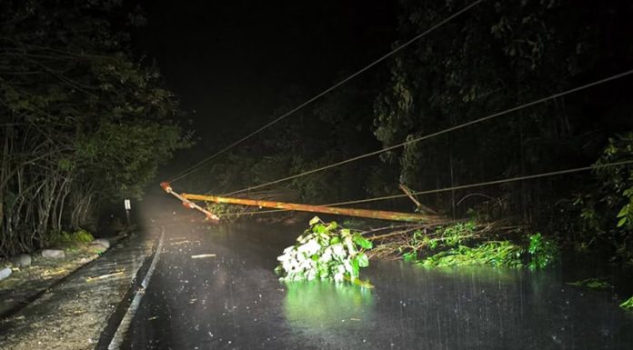 Ruas Jalan Aegela – Ende Longsor dan Pohon Tumbang di Tujuh Titik Kondisi ruas jalan Aegela - Ende sebelum dibersihkan warga bersama aparat Polsek Nangaroro, Nagekeo.