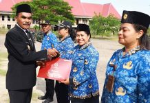 10 PNS di Nagekeo Terima Piagam Presiden