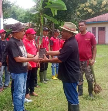 Merawat Pertiwi: Kader dan Simpatisan PDIP Tanam Pohon di Sekitar Mata Air