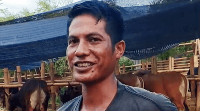 Di Antara Jerami dan Regulasi yang Timpang Udin