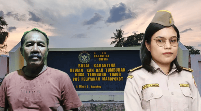 Antrean, Biaya, dan Risiko: Wajah Buram Karantina Ternak di Ende Mashuri Karengaseng (kiri) dan drh. Helena Amadae Bhena (kanan)