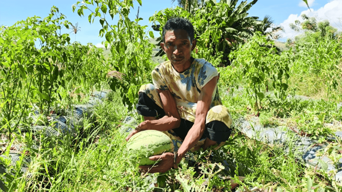 Jeck, petani di Kampung Lego, Desa Aeramo, Kecamatan Aesesa, Kabupaten Nagekeo.