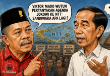 Viktor Pertanyakan Agenda Jokowi ke NTT: Sandiwara Apa Lagi?
